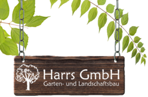 header_logo